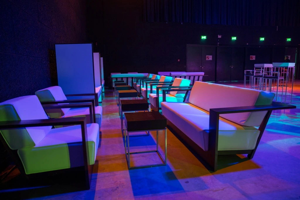 Fotel Palisander ze skóry z zestawem poduszek w kolorze białym