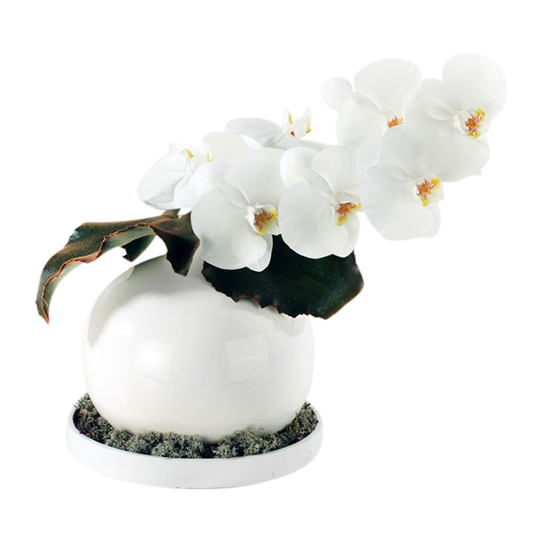 Zestaw dekoracji kwiatowych 432